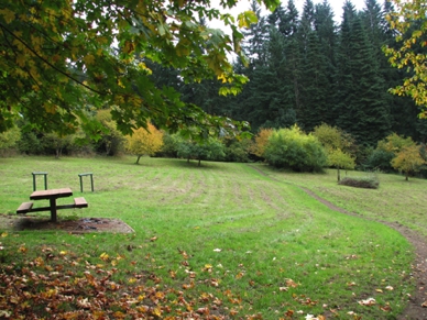 Whipple Creek Park overview